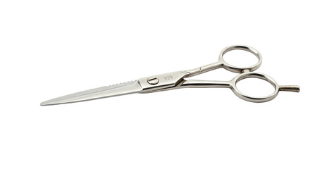 Obraz premium Professional Hair Cutting Scissors 5.