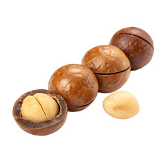 Macadamia nuts isolated on transparent background  
