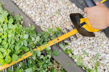High angle view of a gardener hand's maintaining grass and small shrubs with electric saw