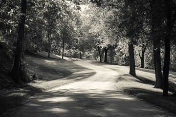 Obraz premium Sunlit, black and white path winding through a park-like setting