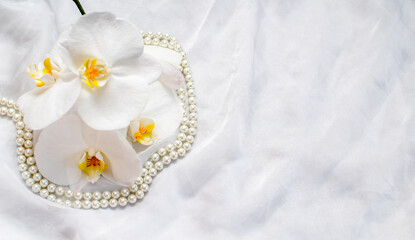 The branch of white orchids on white fabric background
