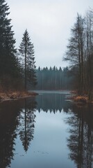 Obraz premium Calm forest lake in muted tones