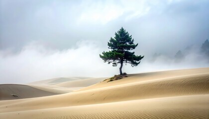 A solitary pine tree stands strong amidst a vast, sandy landscape shrouded in a misty atmosphere.