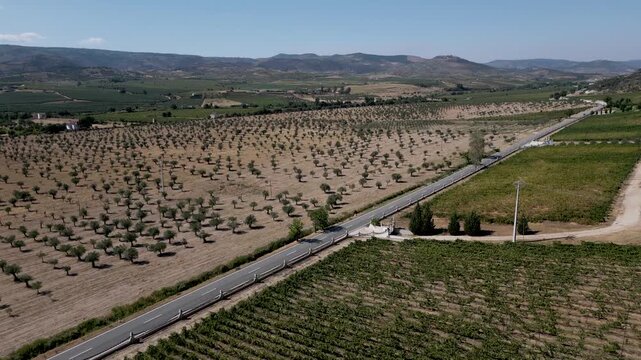aerial view of vineyards and olive groves with a country road in tras os montes portugal