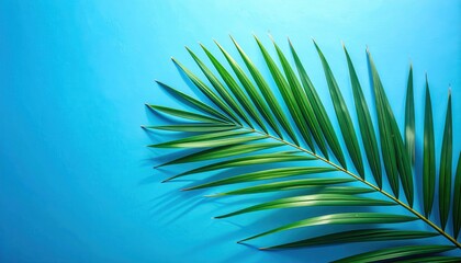 A vibrant green palm frond casts a shadow on a bright azure background.