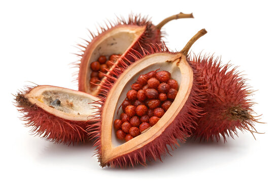 Ripe annatto seeds inside spiky red fruit pods on white background