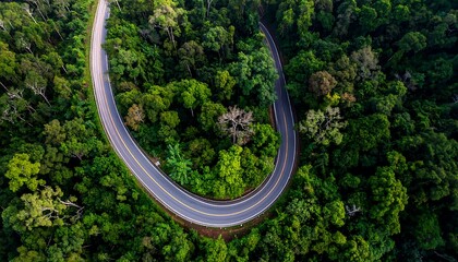 Winding road through lush green forest