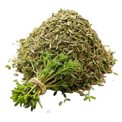 green plant isolated on white background