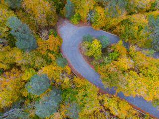 Aerial view of Bolu Yedigöller National Park.