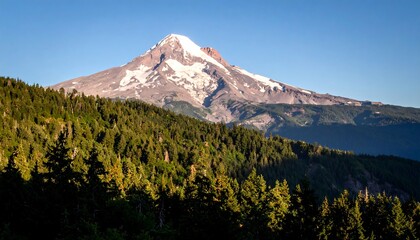 Majestic snow-capped peak rises above a lush, green forest under a clear blue sky