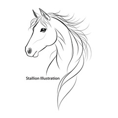 Stallion illustration.eps