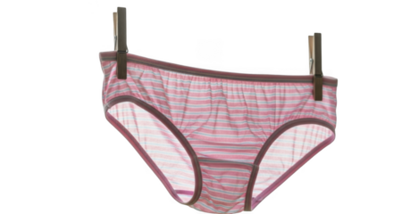 A pink plaid high waisted women s underwear hanging on clips isolated on transparent background