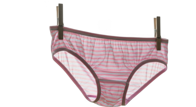 A pink plaid high waisted women s underwear hanging on clips isolated on transparent background