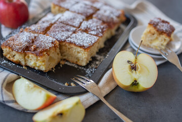 Gourmet traditional holiday apple pie sweet baked dessert food with cinnamon and apples 