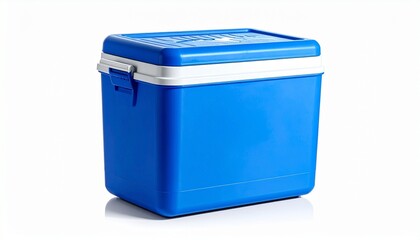 Bright blue plastic cooler box with black latches, top handle, and glossy white surface beside green plant for editorial outdoor photography portable storage decor and poetic utility-themed visuals