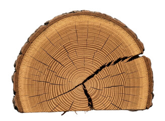 Fototapeta premium Cracked Half Tree Log, transparent background, cutout PNG