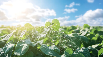 Green leafy plants under sunlight with digital network overlay in a natural field