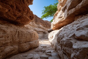 Canyon landscape with tree and sky, highlighting rugged rock formations.
