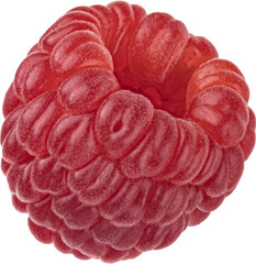 One raspberry isolated