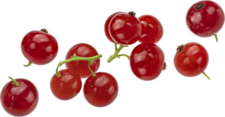 Red currant berries isolated
