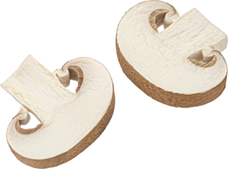 Brown champignon mushroom slices isolated