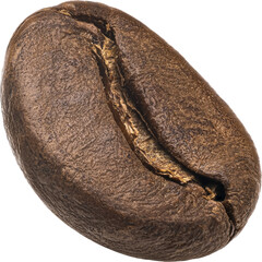 One roasted coffee bean isolated