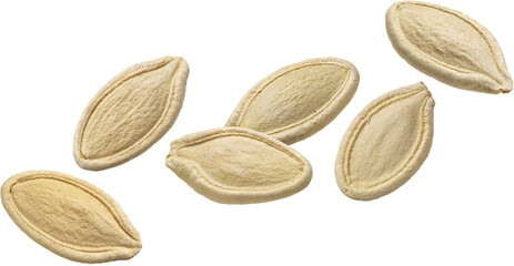 Pumpkin seeds isolated