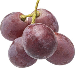 Red grape isolated