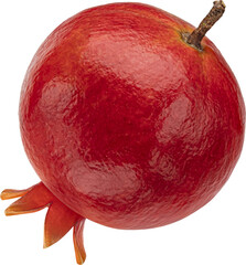 Pomegranate fruit isolated
