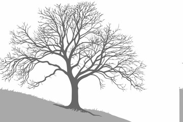 Obraz premium tree with roots