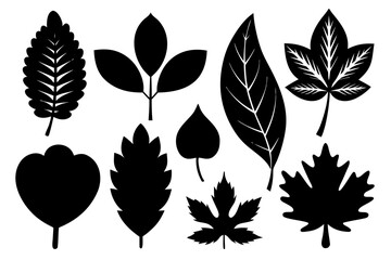 set of collection of various leaf silhouettes,various leaf  icon set