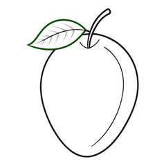 avocado-fruit-line-art--on-white-background