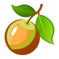 vector illustration of a fruit