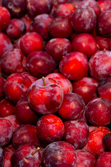 Close-up of ripe plums piled high on a counter in a supermarket or farm shop where produce comes straight from the gardens