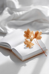 커버 위에 올려진 낙엽