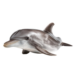 Realistic dolphin isolated
