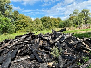 A pile of charred wood.