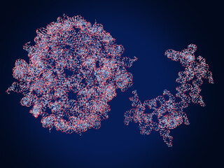 Multimeric RNA assemblies. Left: UCC118 Rool RNA (hexameric RNA), right: Env38-Golld RNA  Multimerization of RNA  ensures high stability, high efficacy, and prolonged action of RNA-based drugs. 