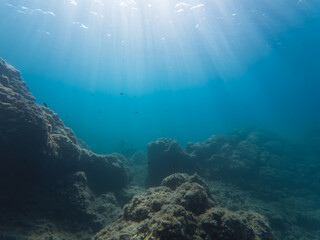 Serene underwater landscape with sun rays filtering through clear blue water to illuminate a rocky...
