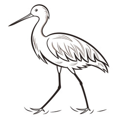 Vector art of a charming line art illustration of a heron gracefully walking, , showcasing its elegant form and long beak in a minimalist design, perfect for nature themes