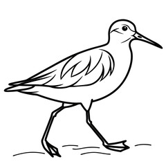 Vector art of a sandpiper walking along the shore, captured in a simple black and white line drawing, showcasing its elegant form and delicate features