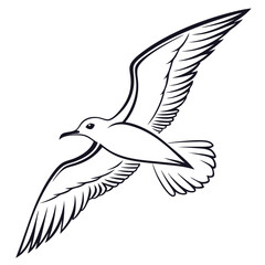 Vector art of a captivating line art illustration of a seagull in flight, showcasing its elegant wingspan against an, perfect for adding a touch of nature to your designs