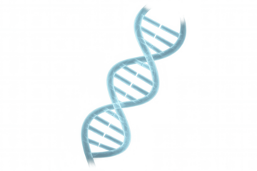 Glowing blue dna double helix rotating slowly on transparent background, perfect for science and medical presentations