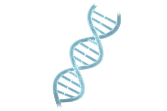 Glowing blue dna double helix rotating slowly on transparent background, perfect for science and medical presentations - Powered by Adobe