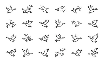 Set of Simple Bird Line Drawings – Black and White Outline Illustrations of Chickens, Ducks, Flamingos, Pigeons, and Farm Birds