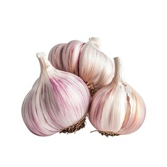 Fresh Organic Purple Garlic Bulbs Isolated. Cooking Ingredient, Healthy Superfood, Natural Spice and Flavoring.