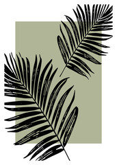 Areca palm frond silhouette background for tropical prints or design. Perfect for botanical posters, wallpaper, invitations, branding visuals, packaging, and minimal aesthetic artwork.