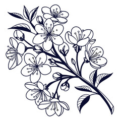 Minimilist detailed line art illustration of a flowering branch with blossoms and leaves on a white background vector