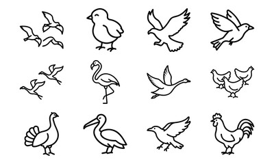 Set of Simple Bird Line Drawings – Black and White Outline Illustrations of Chickens, Ducks, Flamingos, Pigeons, and Farm Birds