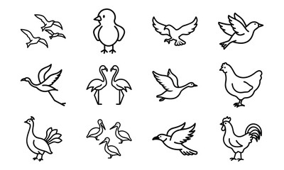 Set of Simple Bird Line Drawings – Black and White Outline Illustrations of Chickens, Ducks, Flamingos, Pigeons, and Farm Birds